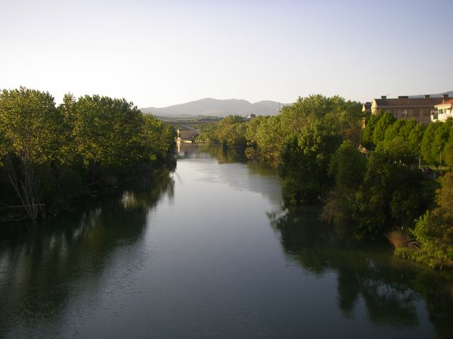 P4122511.JPG