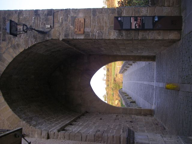 P4132526.JPG