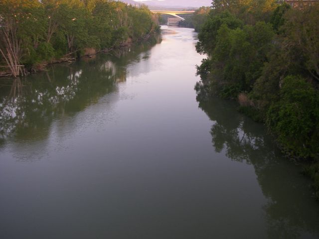 P4132528.JPG