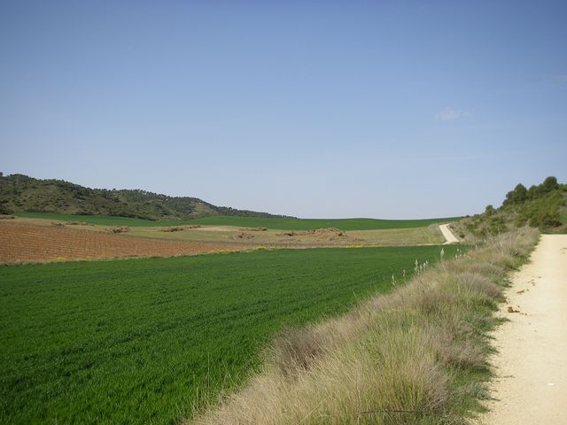 P4142550.JPG