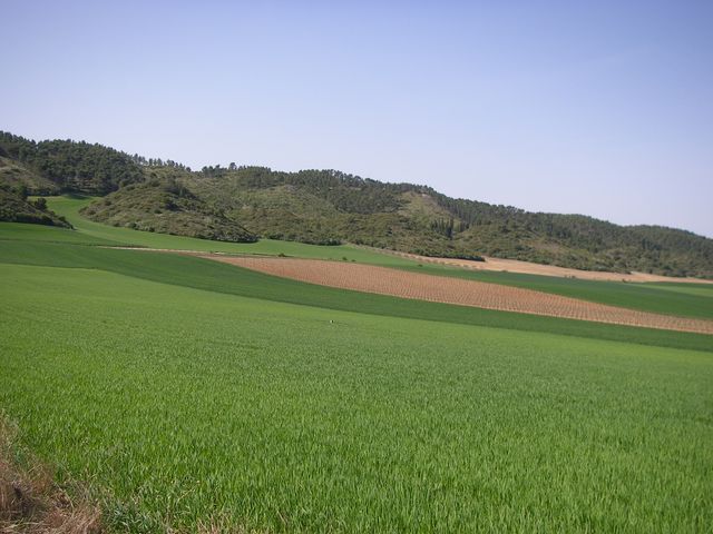 P4142551.JPG