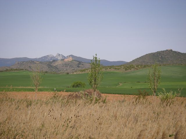 P4142553.JPG