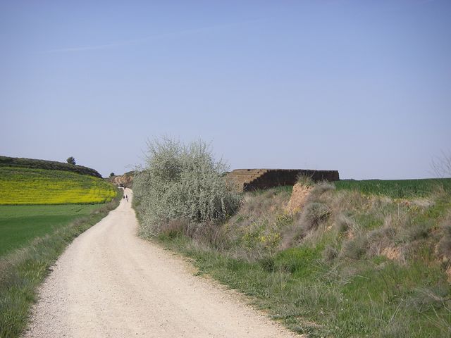 P4142555.JPG