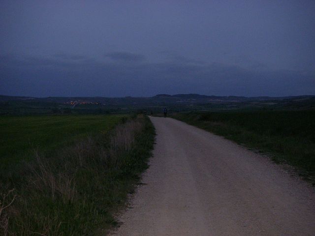 P4152567.JPG