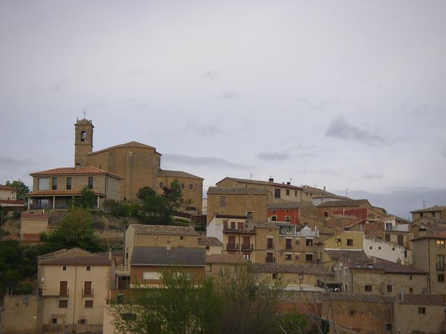 P4152571.JPG