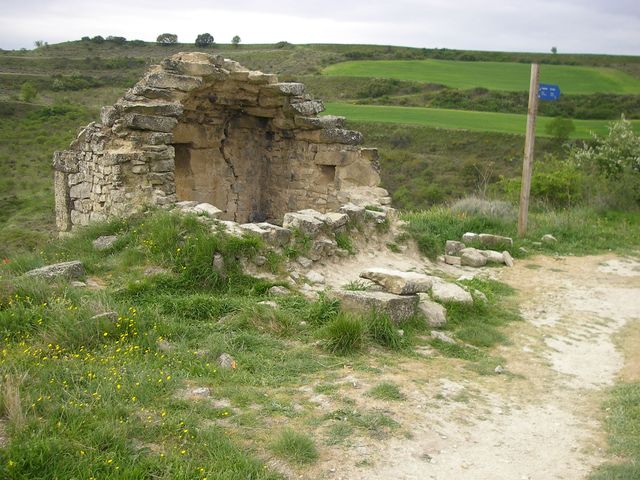 P4152574.JPG