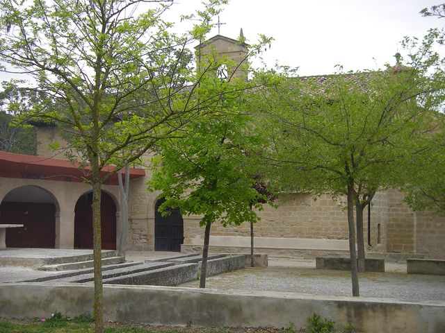 P4152582.JPG