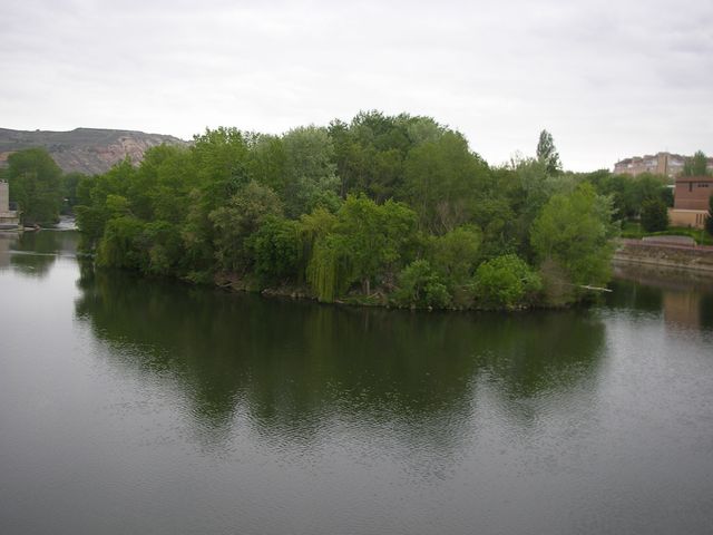 P4152583.JPG