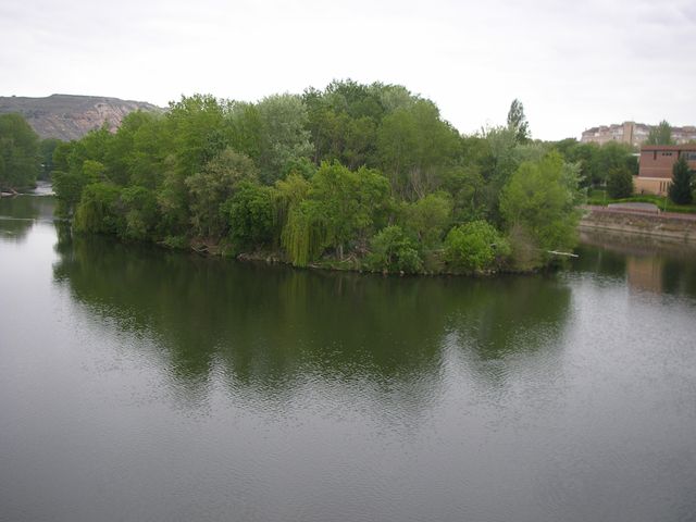 P4152584.JPG