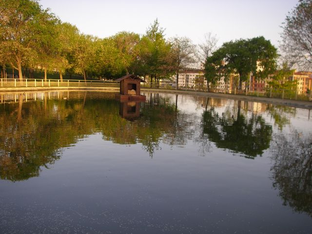 P4162603.JPG