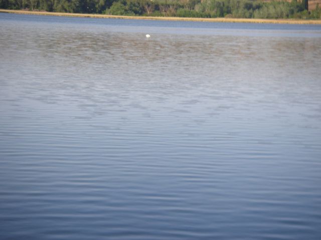 P4162607.JPG
