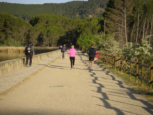 P4162608.JPG