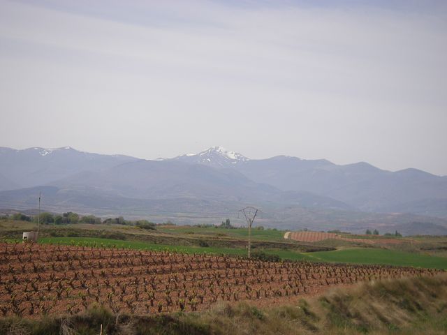 P4162623.JPG