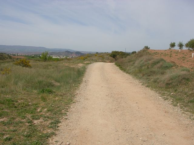 P4162624.JPG