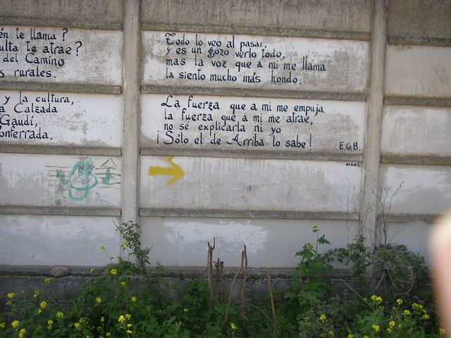 P4162633.JPG