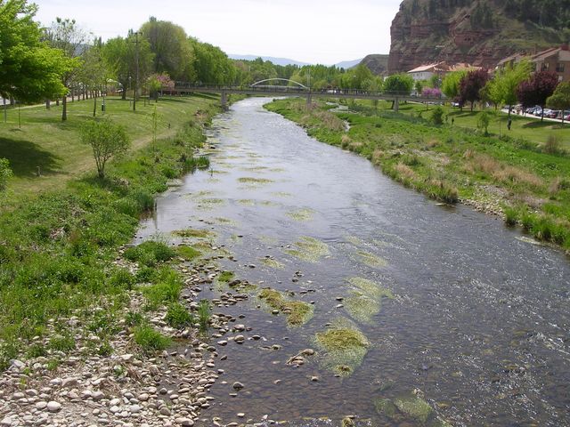P4162635.JPG