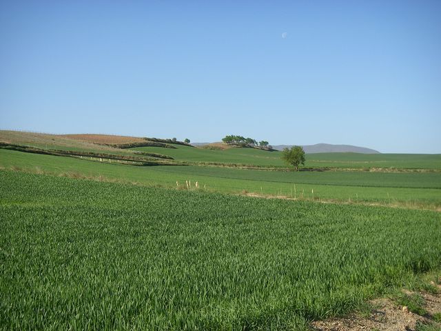 P4172643.JPG
