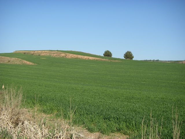P4172644.JPG