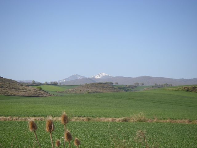 P4172646.JPG
