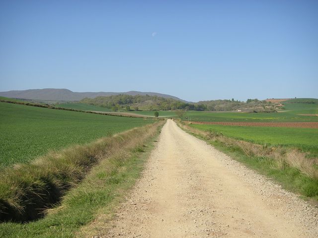 P4172647.JPG