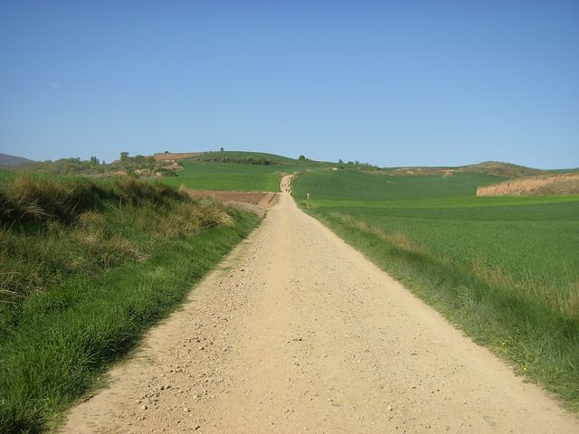 P4172648.JPG