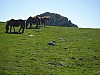 P4092392.JPG