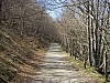 P4092399.JPG