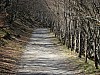 P4092400.JPG