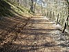 P4092401.JPG