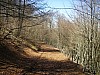 P4092402.JPG