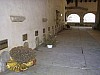 P4092420.JPG