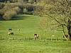 P4102433.JPG