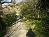 P4102435.JPG