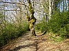 P4102437.JPG