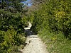 P4102440.JPG