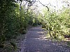P4102441.JPG