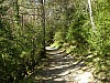 P4102443.JPG