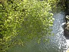 P4112462.JPG