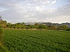 P4142544.JPG