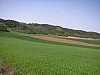 P4142551.JPG