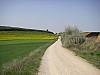 P4142554.JPG