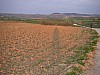 P4152568.JPG