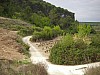 P4152573.JPG