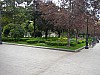 P4152588.JPG