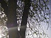 P4162604.JPG
