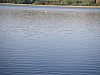 P4162607.JPG