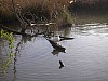 P4162609.JPG