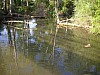 P4162610.JPG
