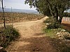 P4162621.JPG