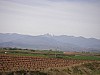 P4162623.JPG